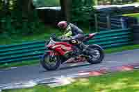 cadwell-no-limits-trackday;cadwell-park;cadwell-park-photographs;cadwell-trackday-photographs;enduro-digital-images;event-digital-images;eventdigitalimages;no-limits-trackdays;peter-wileman-photography;racing-digital-images;trackday-digital-images;trackday-photos